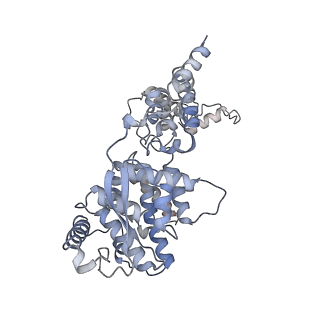 12581_7nt5_B_v1-1
CryoEM structure of the Nipah virus nucleocapsid single helical turn assembly
