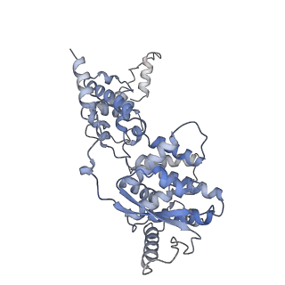 12581_7nt5_D_v1-1
CryoEM structure of the Nipah virus nucleocapsid single helical turn assembly