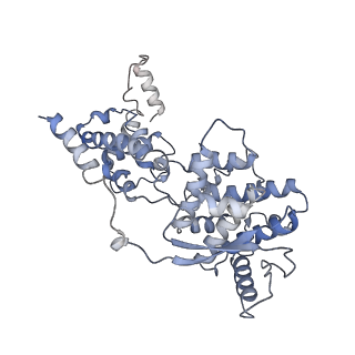 12581_7nt5_E_v1-1
CryoEM structure of the Nipah virus nucleocapsid single helical turn assembly