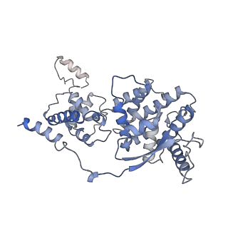 12581_7nt5_F_v1-1
CryoEM structure of the Nipah virus nucleocapsid single helical turn assembly