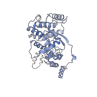 12581_7nt5_J_v1-1
CryoEM structure of the Nipah virus nucleocapsid single helical turn assembly