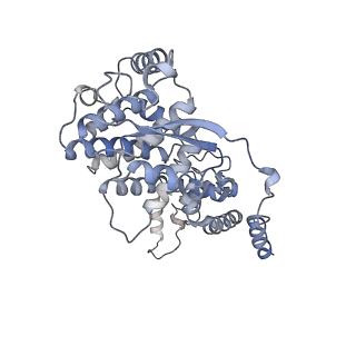 12581_7nt5_K_v1-1
CryoEM structure of the Nipah virus nucleocapsid single helical turn assembly