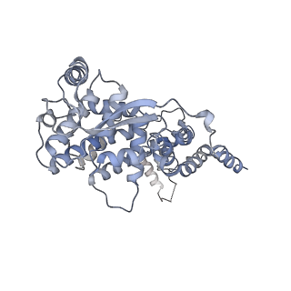 12581_7nt5_L_v1-1
CryoEM structure of the Nipah virus nucleocapsid single helical turn assembly