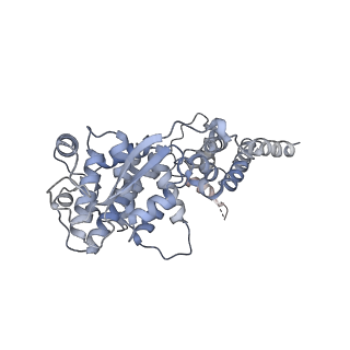 12581_7nt5_M_v1-1
CryoEM structure of the Nipah virus nucleocapsid single helical turn assembly