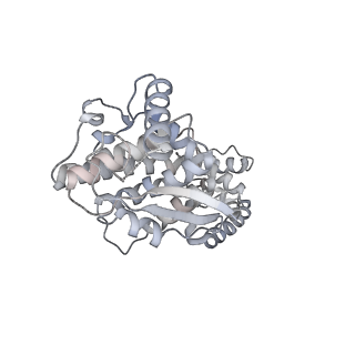 12584_7nt6_A_v1-1
CryoEM structure of the Nipah virus nucleocapsid spiral clam-shaped assembly