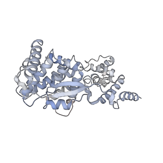 12584_7nt6_B_v1-1
CryoEM structure of the Nipah virus nucleocapsid spiral clam-shaped assembly