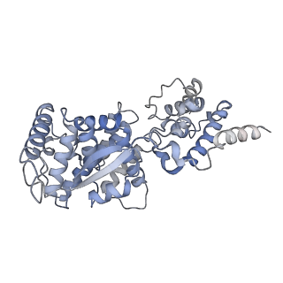 12584_7nt6_C_v1-1
CryoEM structure of the Nipah virus nucleocapsid spiral clam-shaped assembly