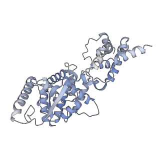 12584_7nt6_D_v1-1
CryoEM structure of the Nipah virus nucleocapsid spiral clam-shaped assembly