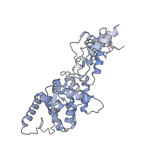 12584_7nt6_E_v1-1
CryoEM structure of the Nipah virus nucleocapsid spiral clam-shaped assembly