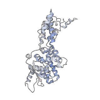 12584_7nt6_F_v1-1
CryoEM structure of the Nipah virus nucleocapsid spiral clam-shaped assembly
