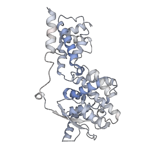 12584_7nt6_G_v1-1
CryoEM structure of the Nipah virus nucleocapsid spiral clam-shaped assembly