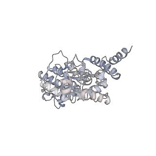 12584_7nt6_H_v1-1
CryoEM structure of the Nipah virus nucleocapsid spiral clam-shaped assembly