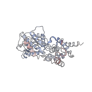 12584_7nt6_I_v1-1
CryoEM structure of the Nipah virus nucleocapsid spiral clam-shaped assembly
