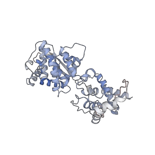 12584_7nt6_J_v1-1
CryoEM structure of the Nipah virus nucleocapsid spiral clam-shaped assembly