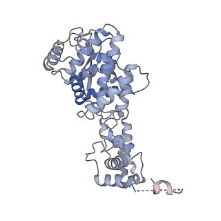 12584_7nt6_L_v1-1
CryoEM structure of the Nipah virus nucleocapsid spiral clam-shaped assembly