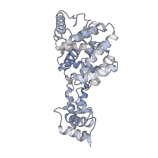 12584_7nt6_M_v1-1
CryoEM structure of the Nipah virus nucleocapsid spiral clam-shaped assembly