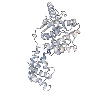 12584_7nt6_N_v1-1
CryoEM structure of the Nipah virus nucleocapsid spiral clam-shaped assembly