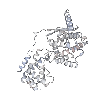 12584_7nt6_O_v1-1
CryoEM structure of the Nipah virus nucleocapsid spiral clam-shaped assembly