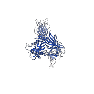 12585_7nt9_A_v1-2
Trimeric SARS-CoV-2 spike ectodomain in complex with biliverdin (closed conformation)