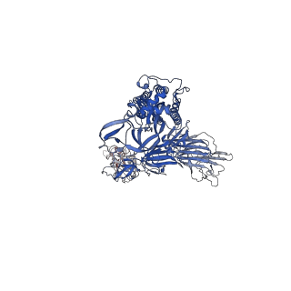 12586_7nta_A_v1-2
Trimeric SARS-CoV-2 spike ectodomain in complex with biliverdin (one RBD erect)