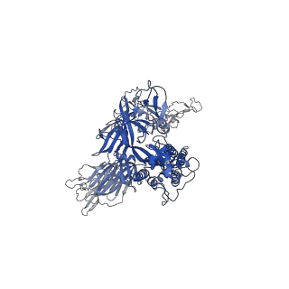 12586_7nta_C_v1-2
Trimeric SARS-CoV-2 spike ectodomain in complex with biliverdin (one RBD erect)