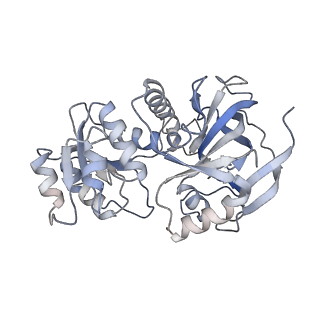 12591_7ntm_B_v1-0
Cryo-EM structure of S.cerevisiae native alcohol dehydrogenase 1 (ADH1) in its tetrameric apo state