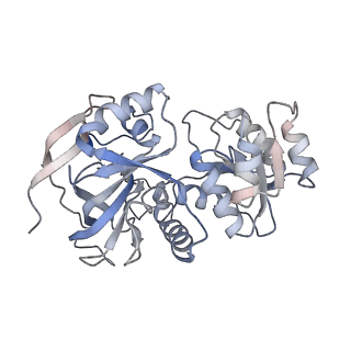 12591_7ntm_C_v1-0
Cryo-EM structure of S.cerevisiae native alcohol dehydrogenase 1 (ADH1) in its tetrameric apo state
