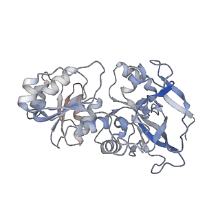 12591_7ntm_D_v1-0
Cryo-EM structure of S.cerevisiae native alcohol dehydrogenase 1 (ADH1) in its tetrameric apo state