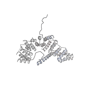 0514_6nu2_A4_v1-3
Structural insights into unique features of the human mitochondrial ribosome recycling