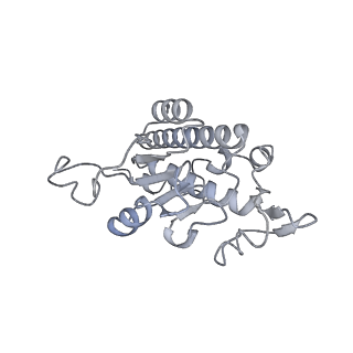 0514_6nu2_AB_v1-3
Structural insights into unique features of the human mitochondrial ribosome recycling