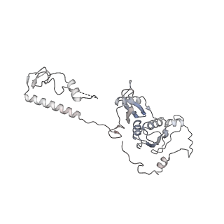 0514_6nu2_AD_v1-3
Structural insights into unique features of the human mitochondrial ribosome recycling