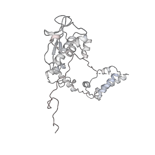 0514_6nu2_AG_v1-3
Structural insights into unique features of the human mitochondrial ribosome recycling
