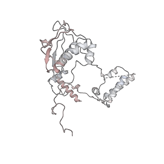0515_6nu3_AG_v1-2
Structural insights into unique features of the human mitochondrial ribosome recycling