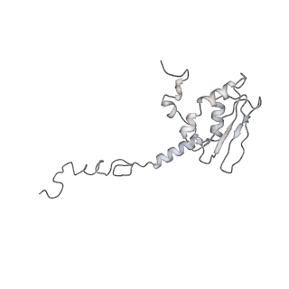 0515_6nu3_AT_v1-2
Structural insights into unique features of the human mitochondrial ribosome recycling