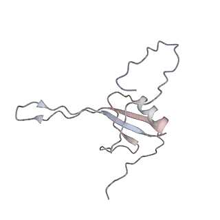 0515_6nu3_U_v1-2
Structural insights into unique features of the human mitochondrial ribosome recycling
