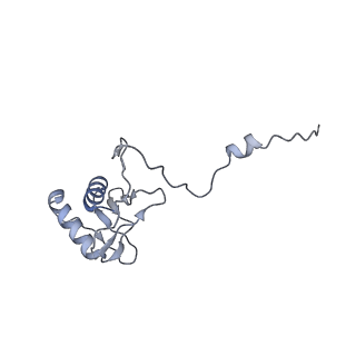 0515_6nu3_g_v1-2
Structural insights into unique features of the human mitochondrial ribosome recycling