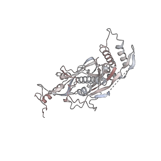 0515_6nu3_s_v1-2
Structural insights into unique features of the human mitochondrial ribosome recycling