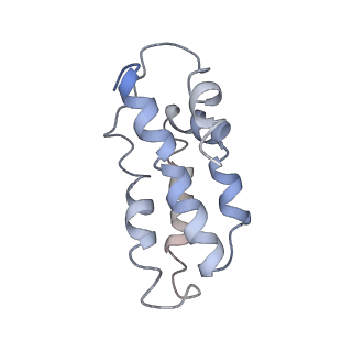 0516_6nud_A_v1-2
Small conformation of ssRNA-bound CRISPR_Csm complex
