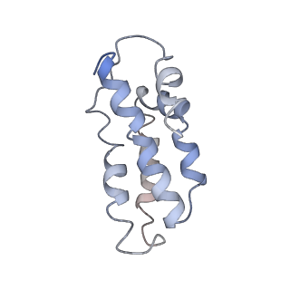 0516_6nud_A_v1-3
Small conformation of ssRNA-bound CRISPR_Csm complex
