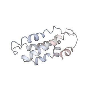 0516_6nud_B_v1-3
Small conformation of ssRNA-bound CRISPR_Csm complex