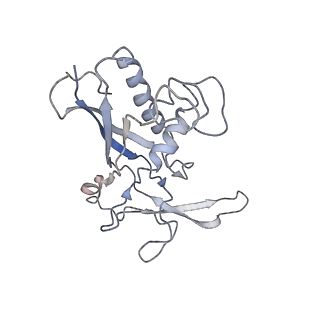 0516_6nud_C_v1-2
Small conformation of ssRNA-bound CRISPR_Csm complex