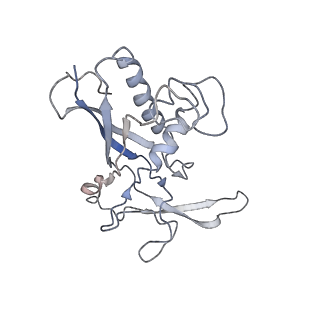 0516_6nud_C_v1-3
Small conformation of ssRNA-bound CRISPR_Csm complex