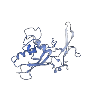 0516_6nud_E_v1-2
Small conformation of ssRNA-bound CRISPR_Csm complex