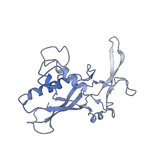 0516_6nud_E_v1-3
Small conformation of ssRNA-bound CRISPR_Csm complex