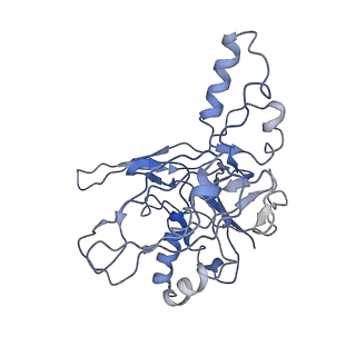 0516_6nud_I_v1-2
Small conformation of ssRNA-bound CRISPR_Csm complex