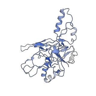 0516_6nud_I_v1-3
Small conformation of ssRNA-bound CRISPR_Csm complex