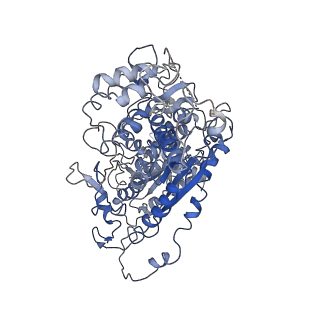 0516_6nud_J_v1-2
Small conformation of ssRNA-bound CRISPR_Csm complex