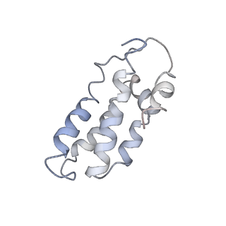 0516_6nud_M_v1-2
Small conformation of ssRNA-bound CRISPR_Csm complex