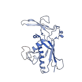 0516_6nud_N_v1-2
Small conformation of ssRNA-bound CRISPR_Csm complex