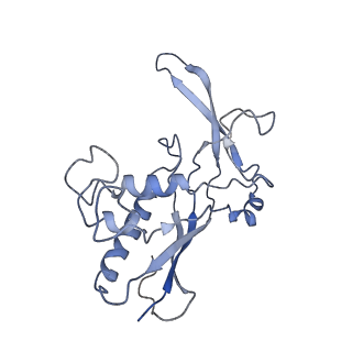 0516_6nud_O_v1-2
Small conformation of ssRNA-bound CRISPR_Csm complex